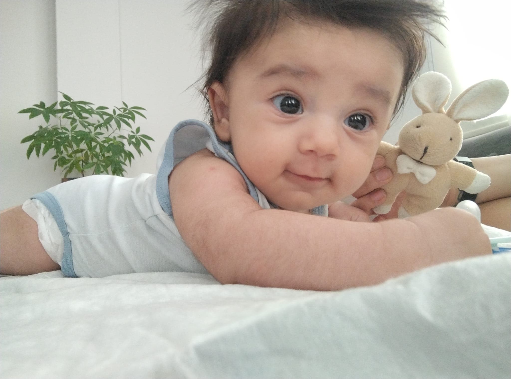 Zaman kapsülü anısı