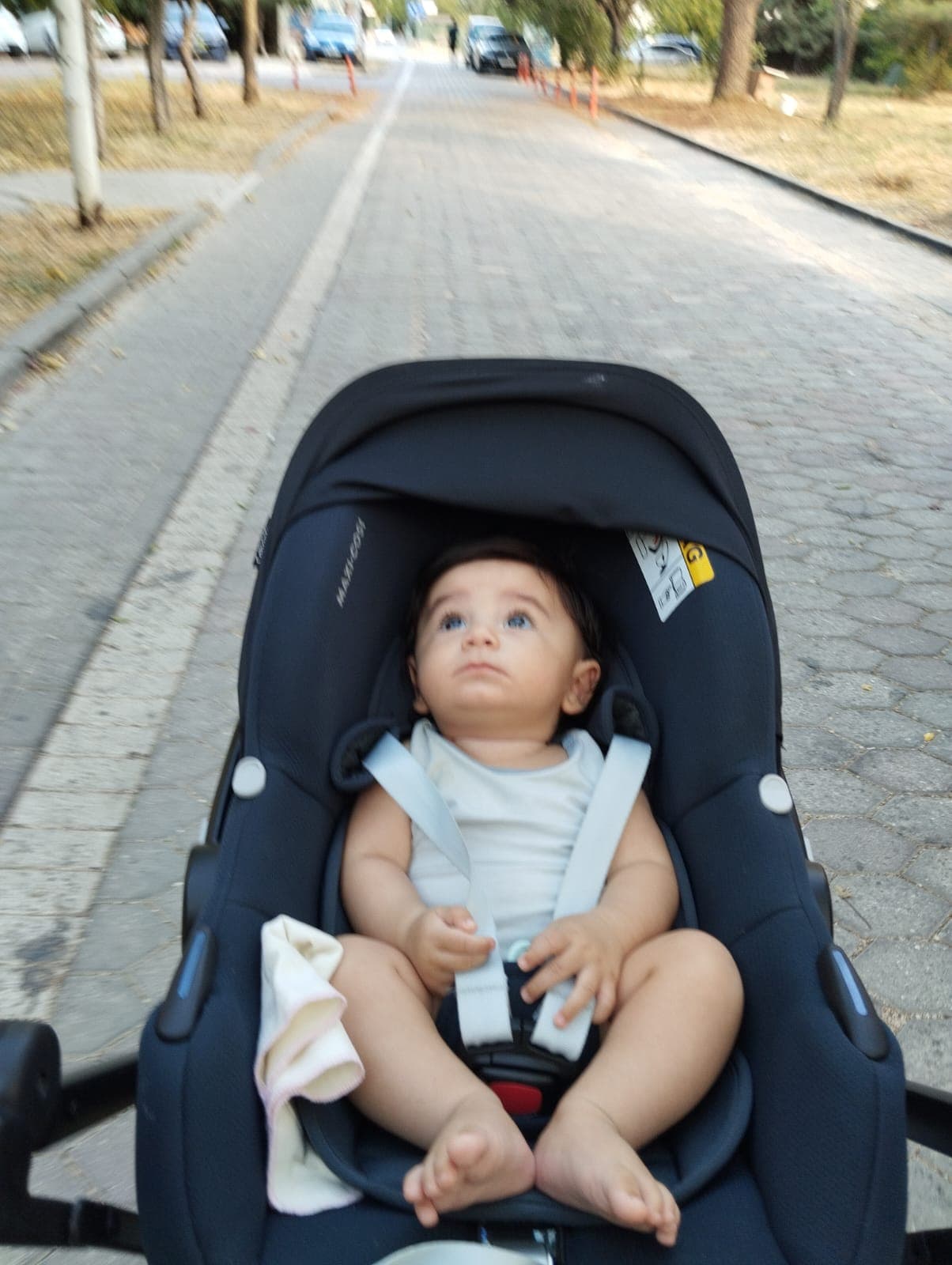 Zaman kapsülü anısı