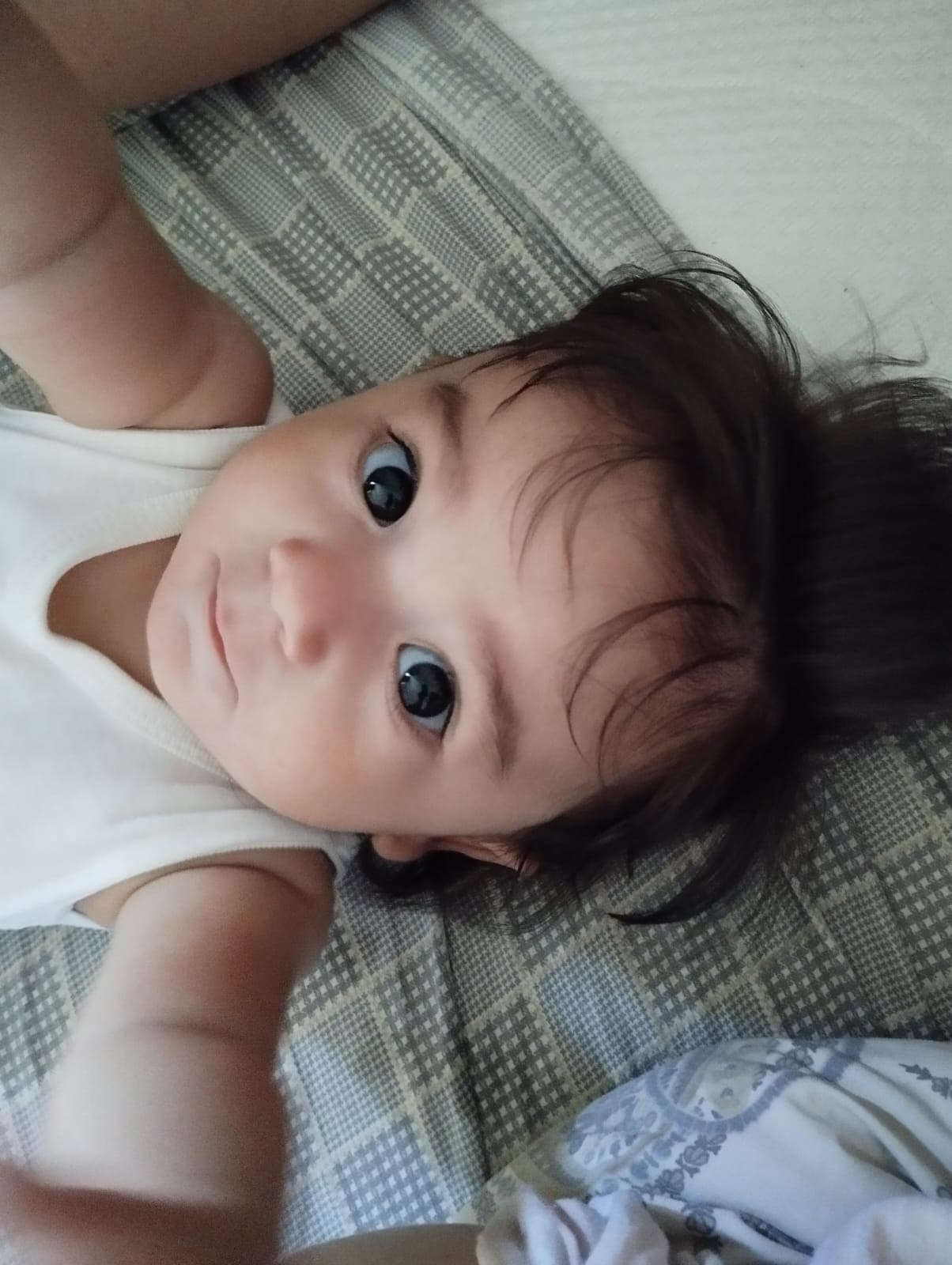 Zaman kapsülü anısı