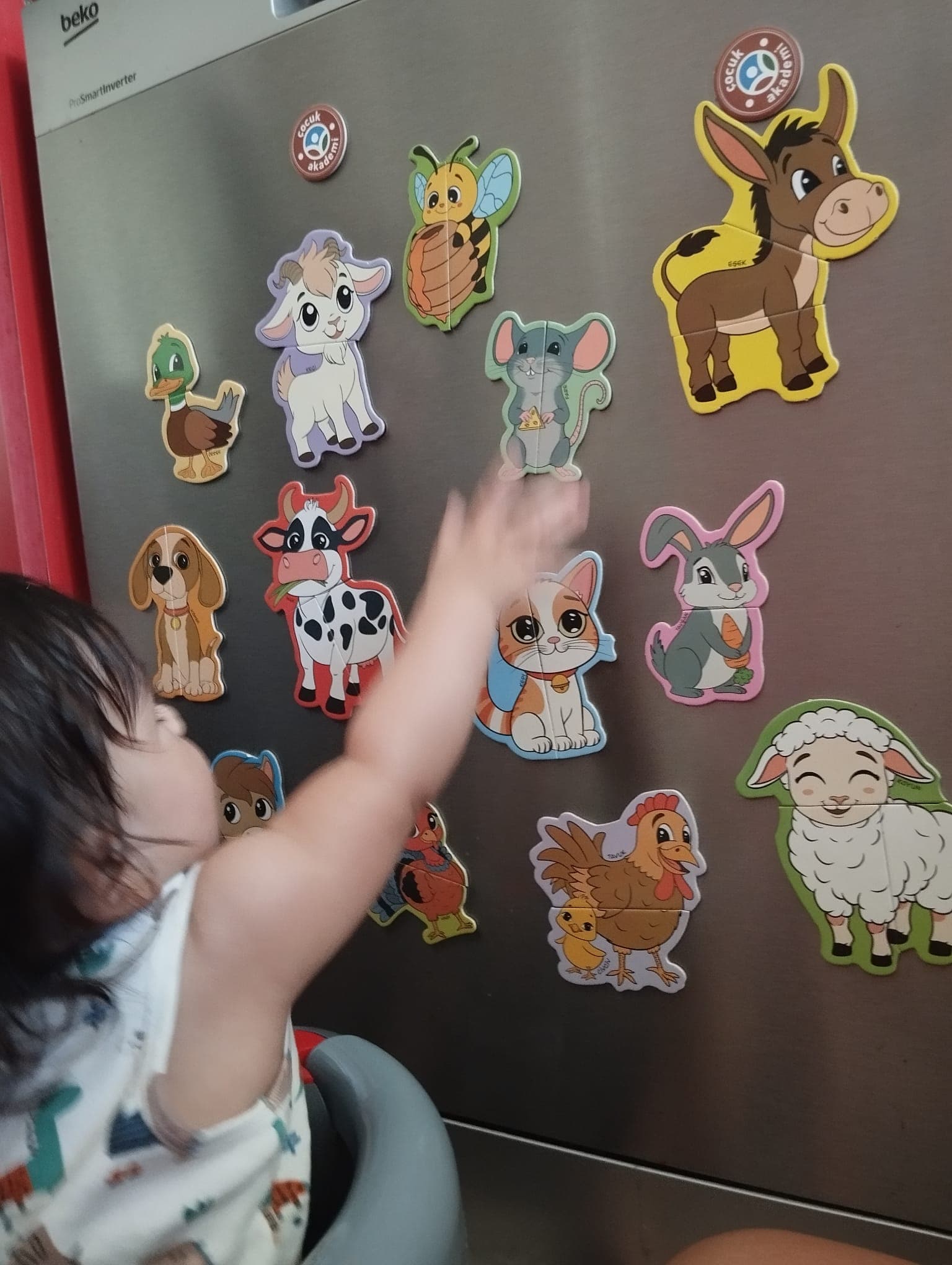 Zaman kapsülü anısı