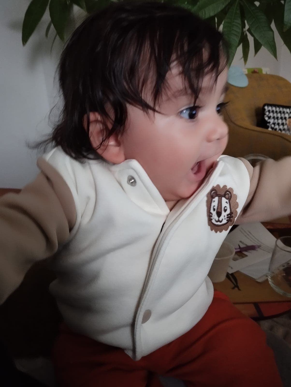 Zaman kapsülü anısı