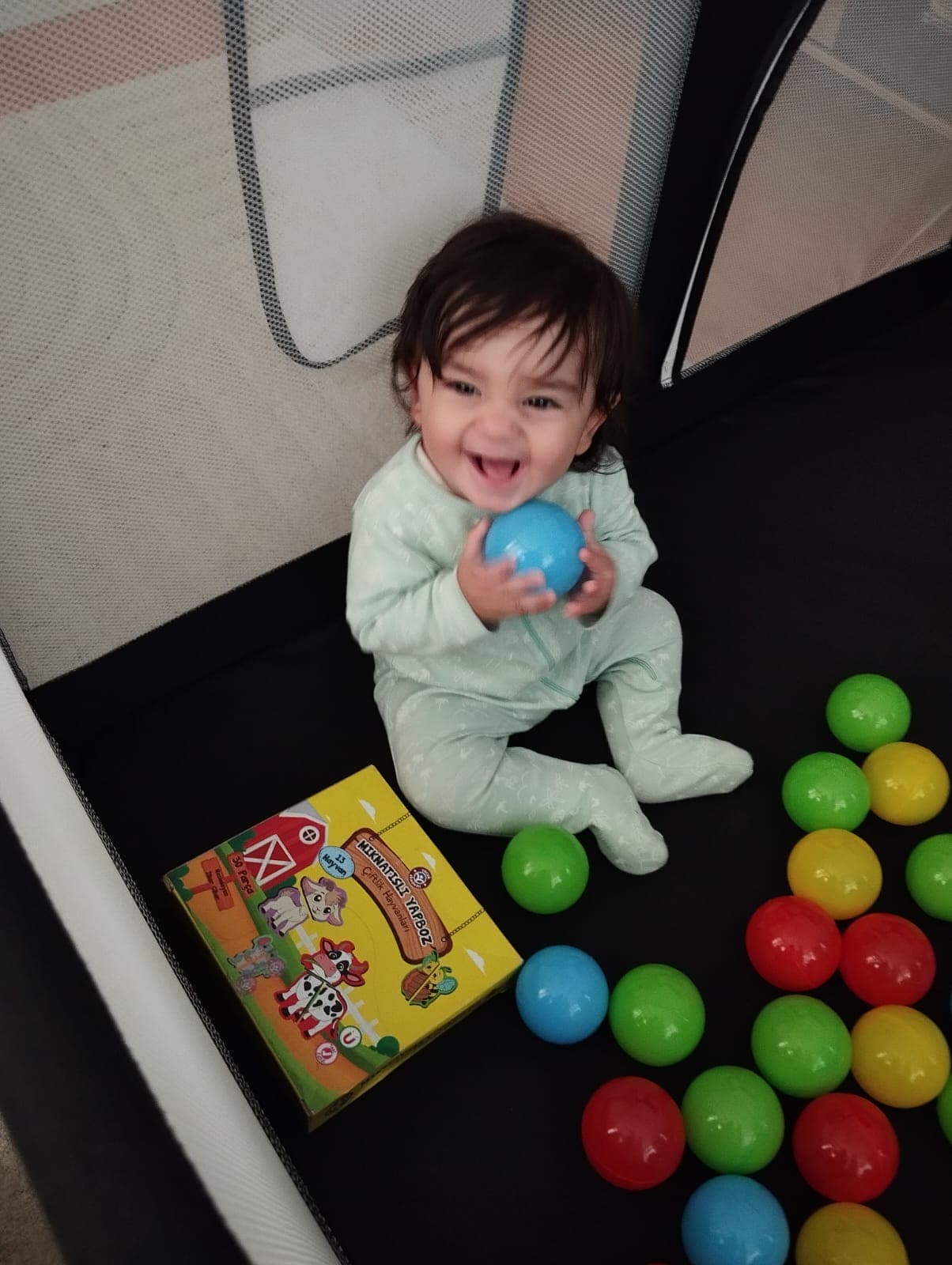 Zaman kapsülü anısı