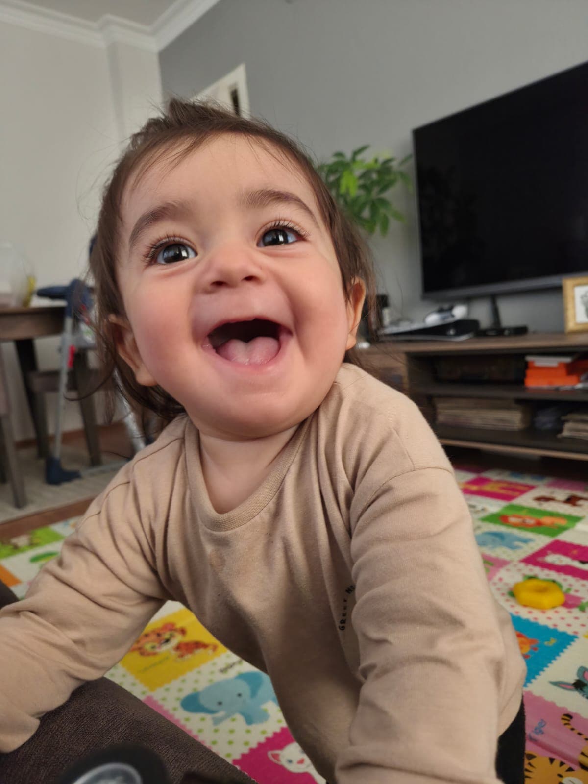 Zaman kapsülü anısı