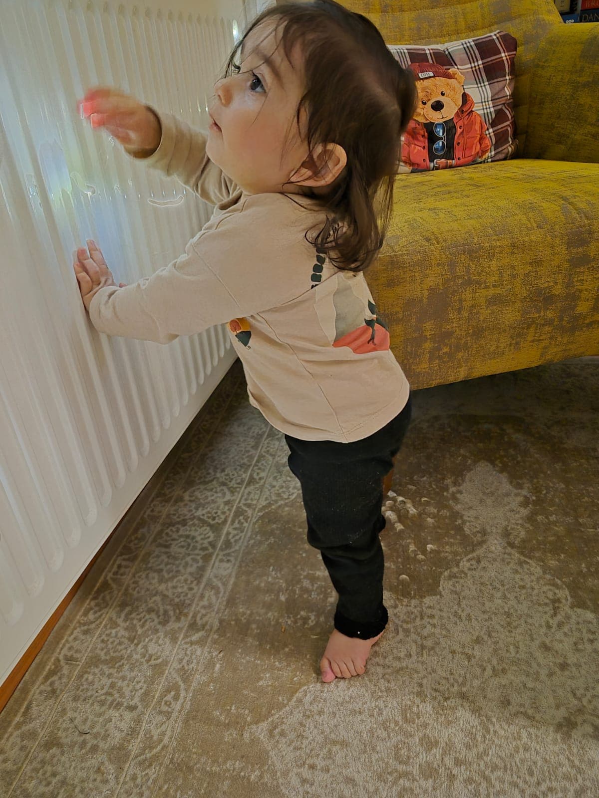 Zaman kapsülü anısı